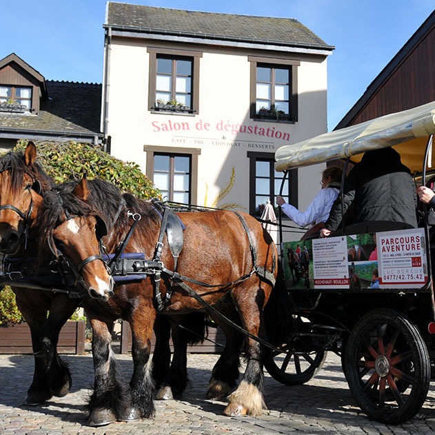 Take a carriage ride and feed the animals in the wildlife park